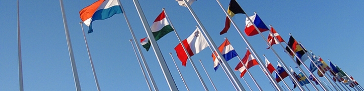 powiewające flagi państw członkowskich UE